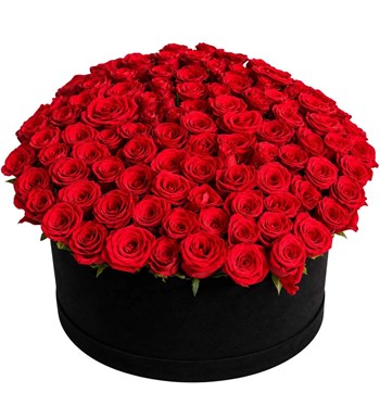 prestige rouge 101 kırmızı gül kutusu, çiçek siparişi, Lilya Rose