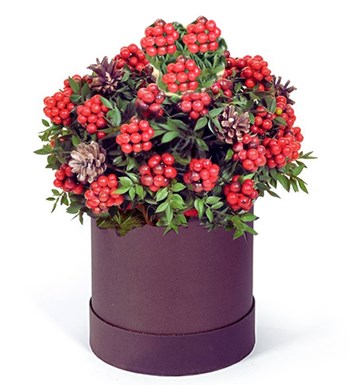 Kokina Aranjmanı, Yılbaşı Kokinaları, Kokina