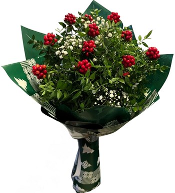 kokina buketi, kokina çiçeği, yeni yıl çiçeği 